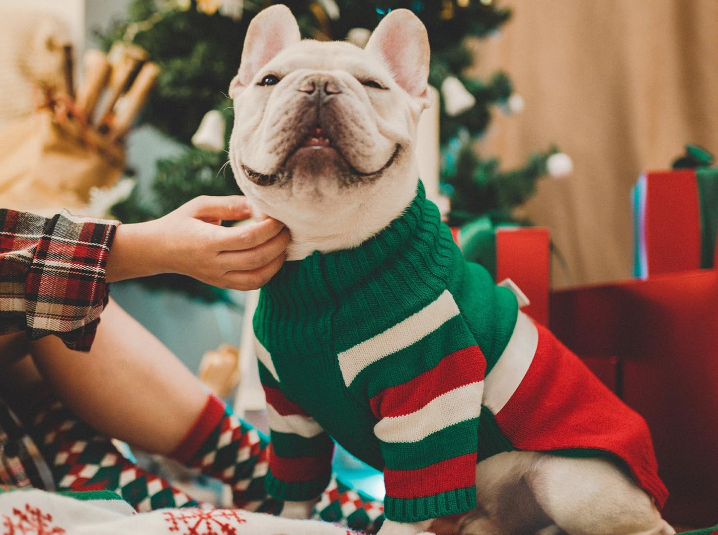 Dog Christmas Sweater for X-Small Size Dog - Puppy Gift Medium Warm Santa Clothes in Winter, Turtleneck Pullover Design for Boy Girl Pet, Doggies, Cat, Kitten Weiner Bulldog Beagles(Xmas)